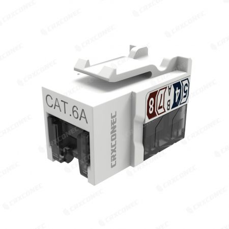 Slim Size RJ45 Cat6A Jack 90 Degree UTP 110 Punch Down with Shutter - Slim Size RJ45 Cat6A Jack 90 Degree UTP 110 Punch Down with Shutter